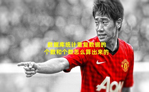 数据库统计重复数据的个数和个数怎么算出来的