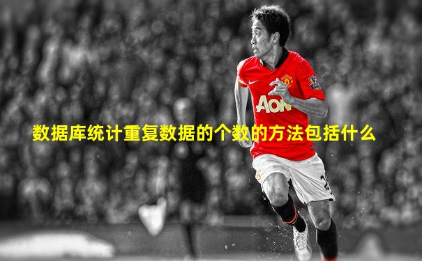 数据库统计重复数据的个数的方法包括什么