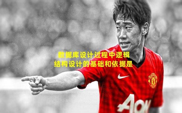 数据库设计过程中逻辑结构设计的基础和依据是