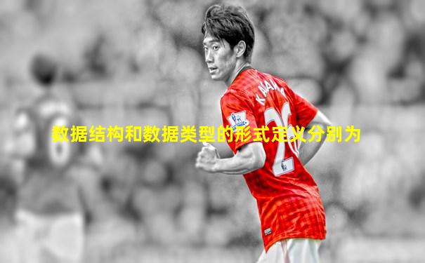 数据结构和数据类型的形式定义分别为
