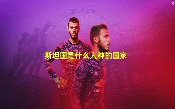 斯坦国是什么人种的国家