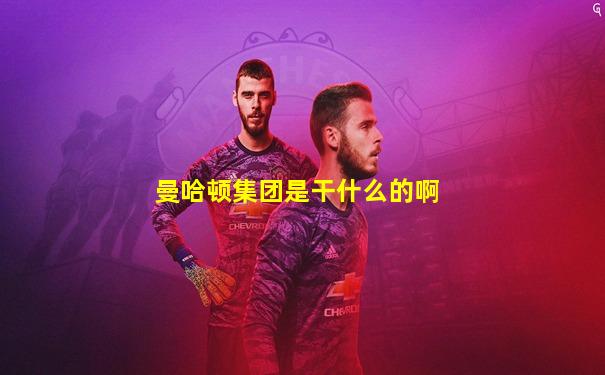 曼哈顿集团是干什么的啊