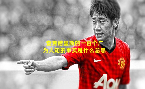 查克诺里斯的一百个广为人知的事实是什么意思