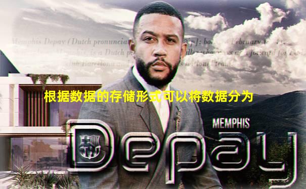 根据数据的存储形式可以将数据分为