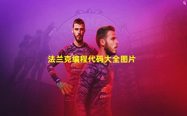 法兰克编程代码大全图片
