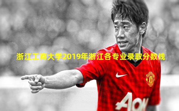 浙江工商大学2019年浙江各专业录取分数线