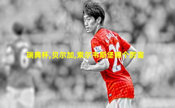 瑞典杯,贝尔加,索尔韦斯堡哪个厉害