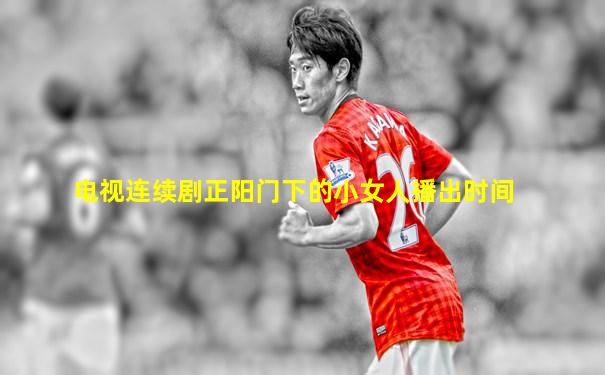 电视连续剧正阳门下的小女人播出时间