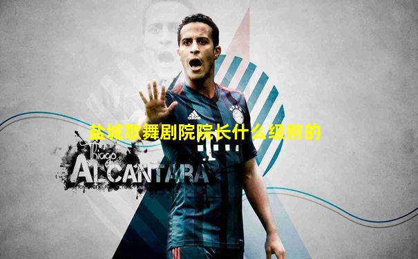 盐城歌舞剧院院长什么级别的