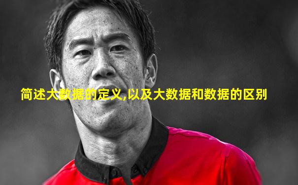简述大数据的定义,以及大数据和数据的区别