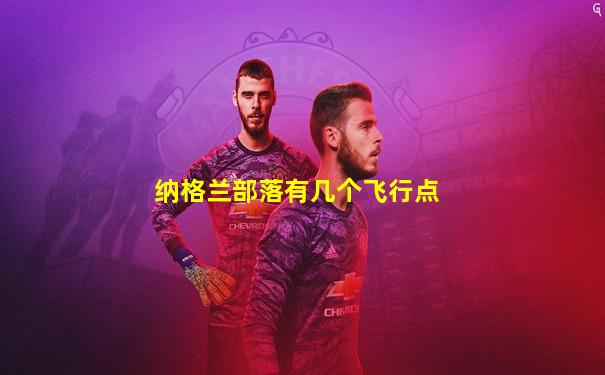 纳格兰部落有几个飞行点
