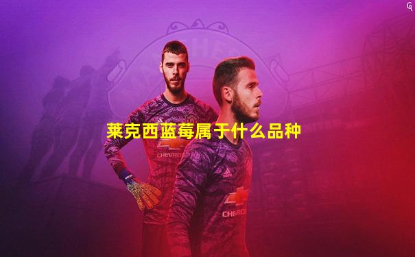 莱克西蓝莓属于什么品种