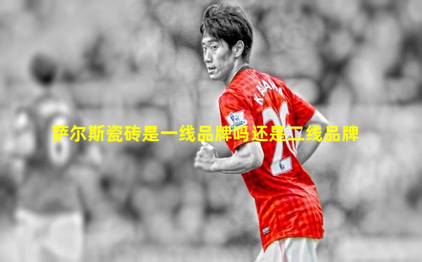 萨尔斯瓷砖是一线品牌吗还是二线品牌