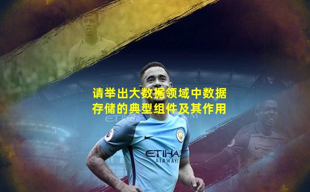请举出大数据领域中数据存储的典型组件及其作用