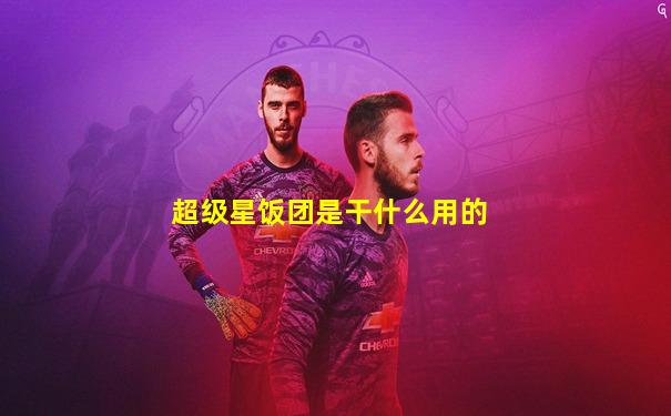 超级星饭团是干什么用的