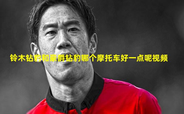 铃木钻豹和豪爵钻豹哪个摩托车好一点呢视频