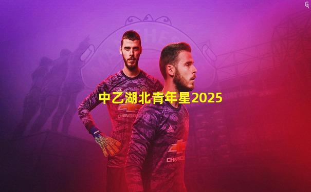 中乙湖北青年星2025