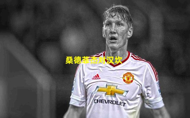 桑德菲杰对汉坎