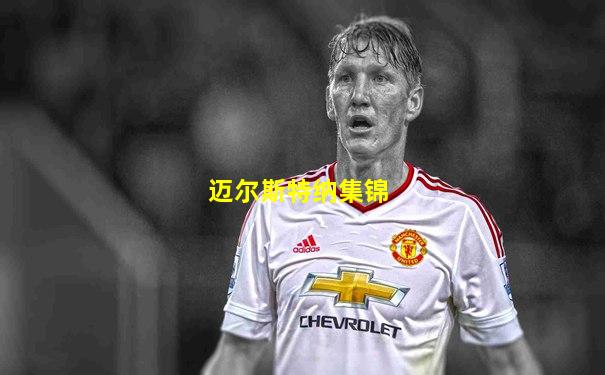 迈尔斯特纳集锦
